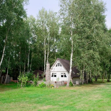 Вилла Domek W Brzozach Сашино Экстерьер фото