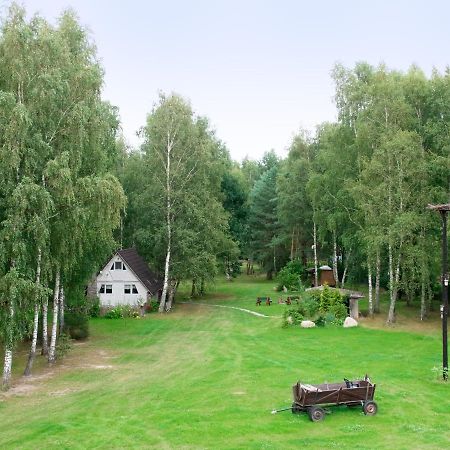 Вилла Domek W Brzozach Сашино Экстерьер фото